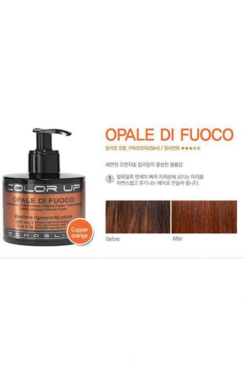 ECHOSLINE Color Up Hair Coating Treatment 250ml - Palace Beauty Galleria