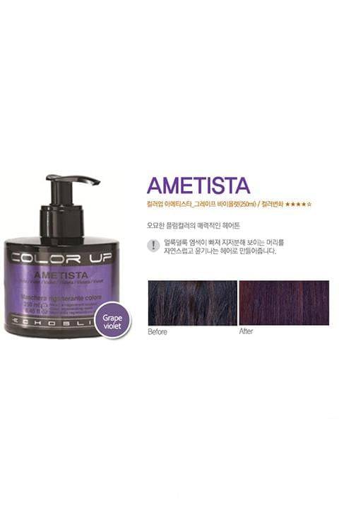 ECHOSLINE Color Up Hair Coating Treatment 250ml - Palace Beauty Galleria