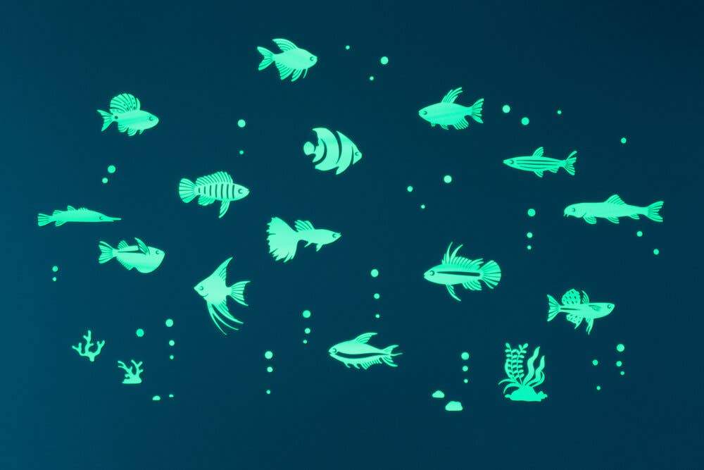 GloPlay Tropical Fish Stickers