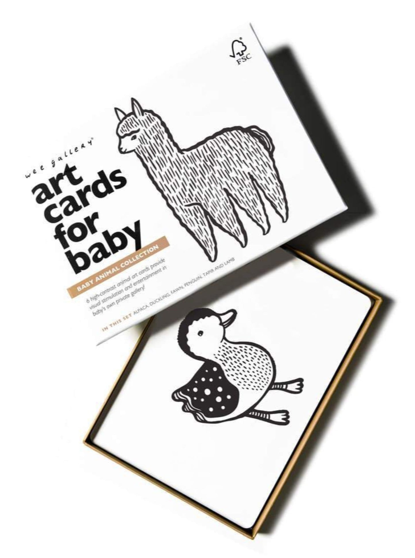 Art Cards for Baby